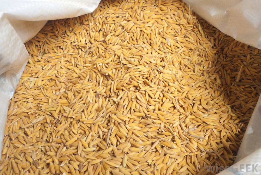Rice Industry grew by estimated 3.7 in first half — 2019 MidYear