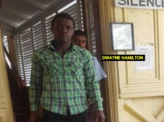 Sewage plumber jailed 12 years for 2007 rape of 4-year-old girl