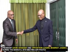 GECOM is in charge of elections, not the Executive – Granger