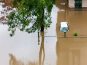 Leptospirosis suspected as cause of death, illness in Matthew’s Ridge outbreak