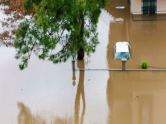 Leptospirosis suspected as cause of death, illness in Matthew’s Ridge outbreak