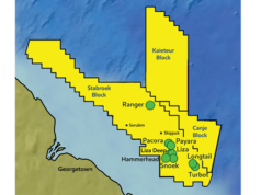 Payara Field to be approved in late 2019 — EPA