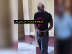 Jamaican gets one year for sharing nude video of girlfriend