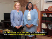 US Ambassador, new Foreign Affairs Minister discuss bilateral cooperation