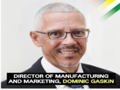 Gaskin defends new post in Business Ministry