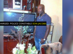 Constable charged for pelting wife with wood