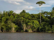 Italian firm helping Guyana develop tourism action plan for Essequibo