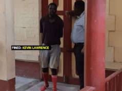 “Cruel me if you see me back in court,” plantain thief tells magistrate