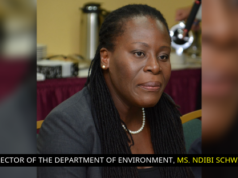 September launch for Green State Development Strategy