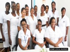 PAHO underscores importance of nurses to achieving universal healthcare