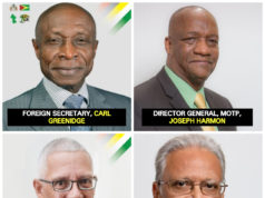 Former dual citizenship ministers given senior posts in respective ministries