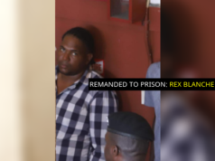 Two remanded for robbery spree across Georgetown