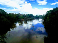 Guyanese captain, porter allegedly abducted by Venezuelan gang