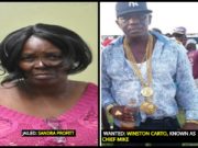 Admitted cocaine smuggler jailed 4 years, says she did it to help son