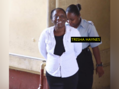 Cook remanded for ganja in handbag