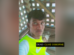 Teen brothers allegedly stab friend to death