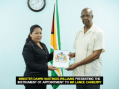 Inquiry officially commissioned into alleged Public Service firings