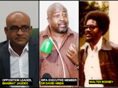 WPA conveniently bashes Govt’s failure to respect recommendations in Walter Rodney CoI Report – Jagdeo