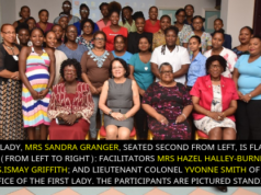 Caregivers should be respected for their professions – First Lady