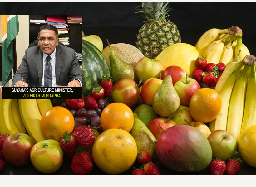 ZULFIKAR MUSTAPHA FRUITS