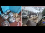 Berbice man caught with over 120lbs of ganja at Helena