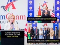 Ambassador Lynch, US Embassy significantly increased business opportunities, fostered bilateral trade- AmCham Guyana