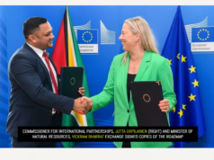 Guyana, EU agree to roadmap to increase gains in forestry sector