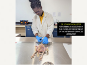 Guyana’s only Veterinary Services Lab secures recertification from GNBS