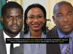 “False assertions” by IDPADA-G reps. made gov’t’s work at UN forum “unnecessarily difficult” – Walrond