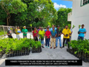 Mainstay farmers to cultivate 80 acres of land to bolster food security