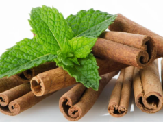 Govt. to commence trial for black pepper, mint and cinnamon at Aroaima Savannah