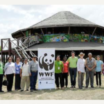 wwf