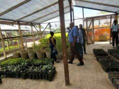 Prison officers, inmates receive plant nursery management training