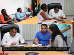 Trafalgar/Union CDC seeks govt.’s intervention to resolve land, other issues