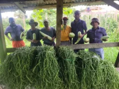 Prison Service looking to expand farming at Lusignan Prison – Director