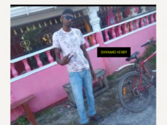 Uitvlugt woman beaten to death by partner