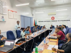 GNBS urges micro, small and medium scale enterprises to implement national standards for success