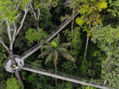 Guyana’s ecotourism odyssey: A tapestry of biodiversity and sustainability