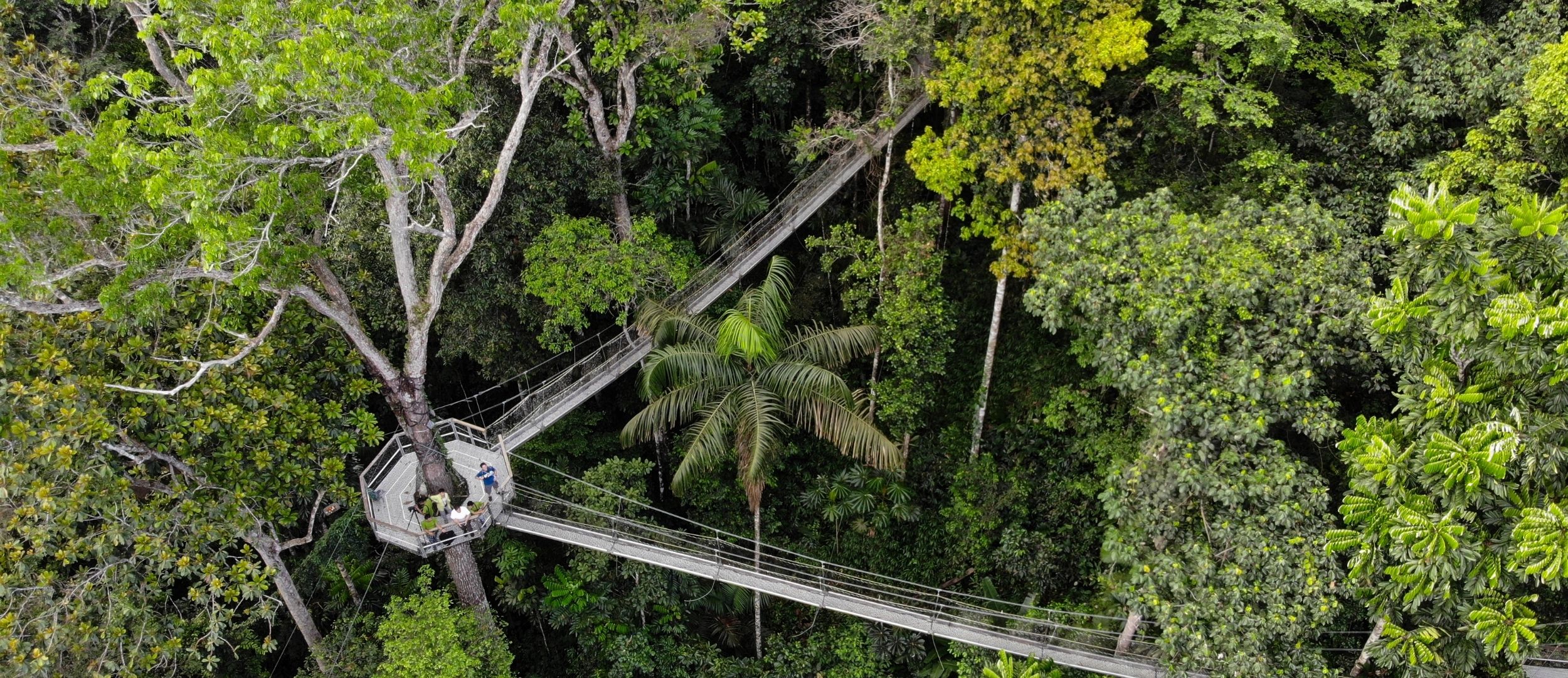 Guyana’s ecotourism odyssey: A tapestry of biodiversity and
