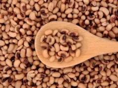 Gov’t eyeing black-eye peas production in Region One