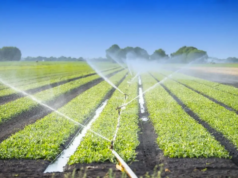 NAREI collaborates with USAID on climate-smart agriculture