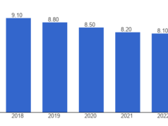 Unraveling Guyana’s brain drain challenge: Impact and Solutions
