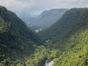 Guyana, other amazon nations sign Belém Declaration to drive forest protection