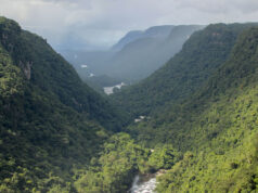 Guyana, other amazon nations sign Belém Declaration to drive forest protection