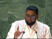 78th UN General Assembly: Pres. Ali calls for realistic approach to achieve net zero emissions by 2050