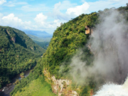 Guyana’s forest preservation odyssey and its efforts for climate change