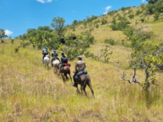 Region 9 to get two new tourism products – GTA