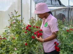 ‘Cut Rose’ Project to be expanded countrywide