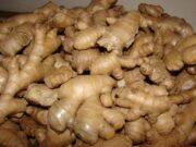 Bonasika Creek to get processing facility for ginger, other vegetables-Pres. Ali