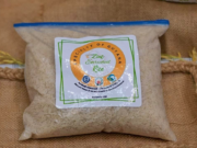 Govt. launches new bio-fortified to boost Guyana’s rice sector in 2024